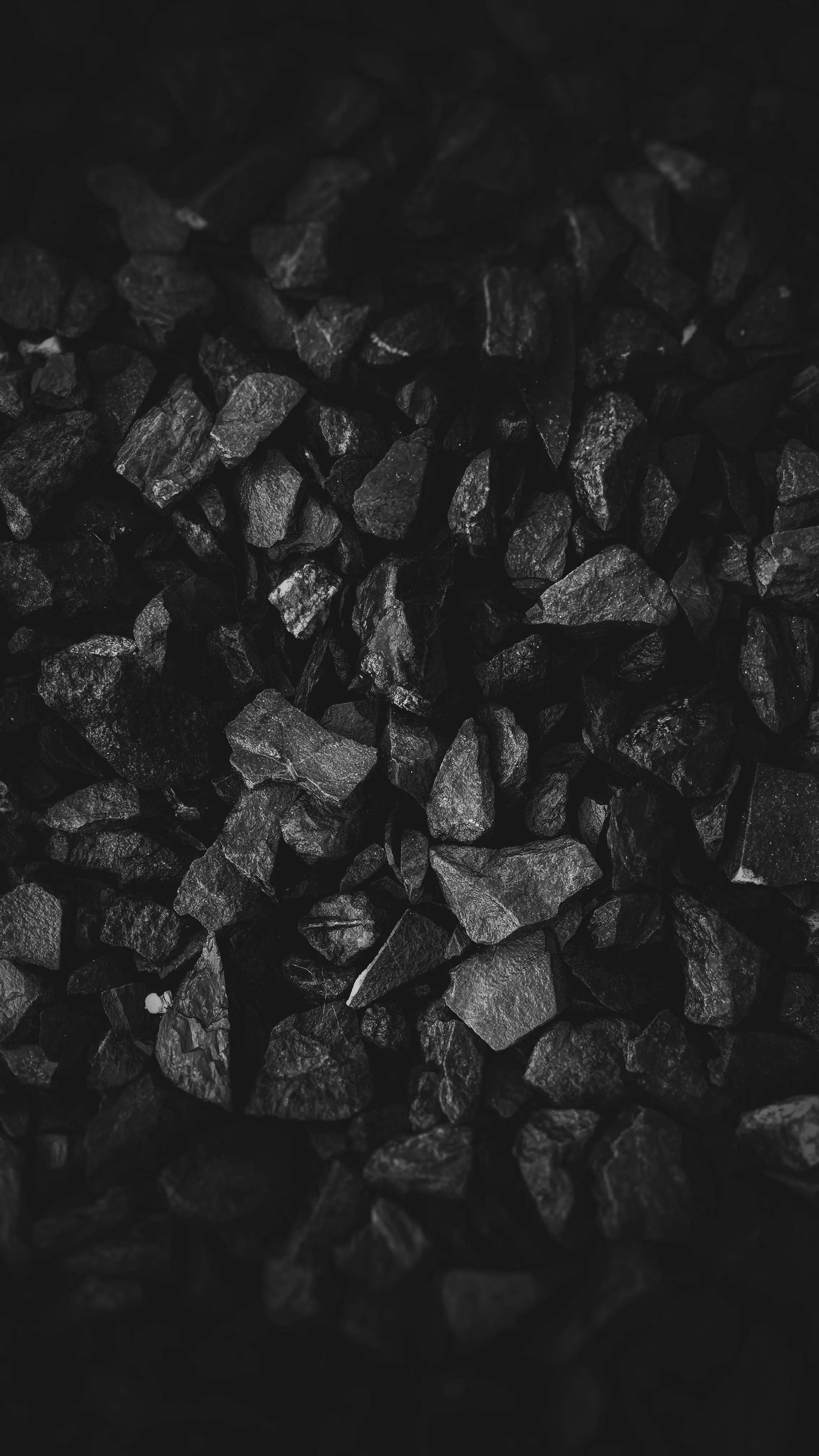 Charcoal produced at a carbonization plant
